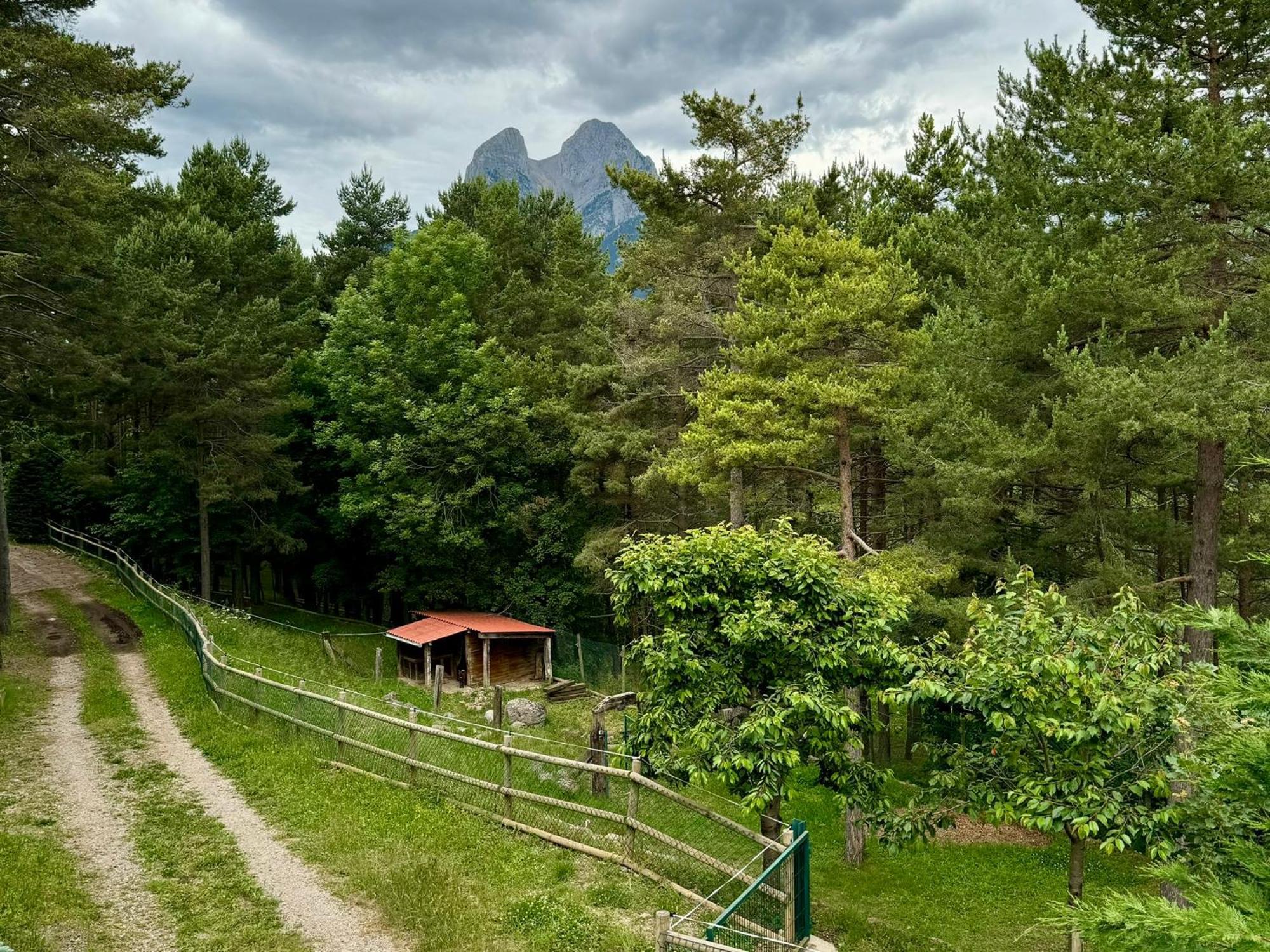 Cal Roig - Pedraforca Villa Saldés Exterior photo